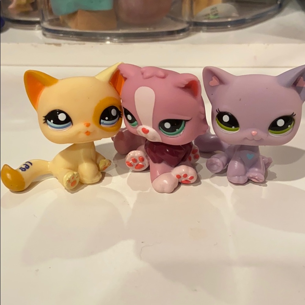 3 cat LPS.